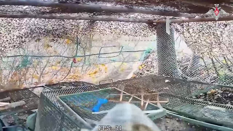 Минобороны России: Дроноводы наводят ужас на противника