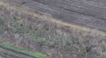 Разделение украинского фронта