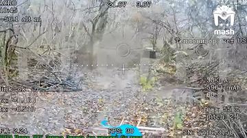 Наши бойцы сорвали ротацию ВСУ на харьковском направлении