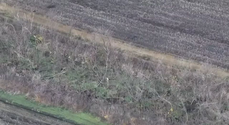 ���������� ����������� ������