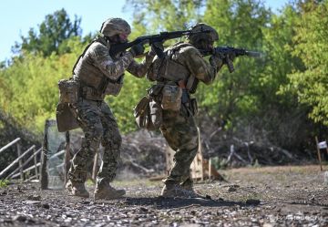 Минобороны рассказало о потерях ВСУ в зоне действия подразделений "Севера"