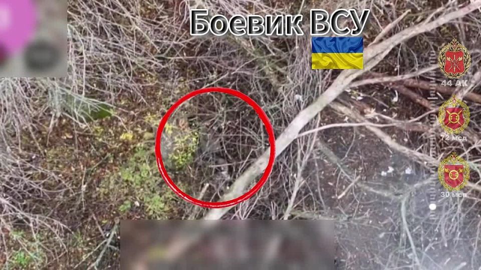 ������ ���������. ������� �������