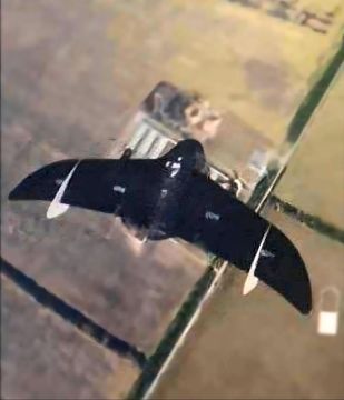 Оптоволоконный дрон-разведчик «Князь Вещий Олег» в объективе противника