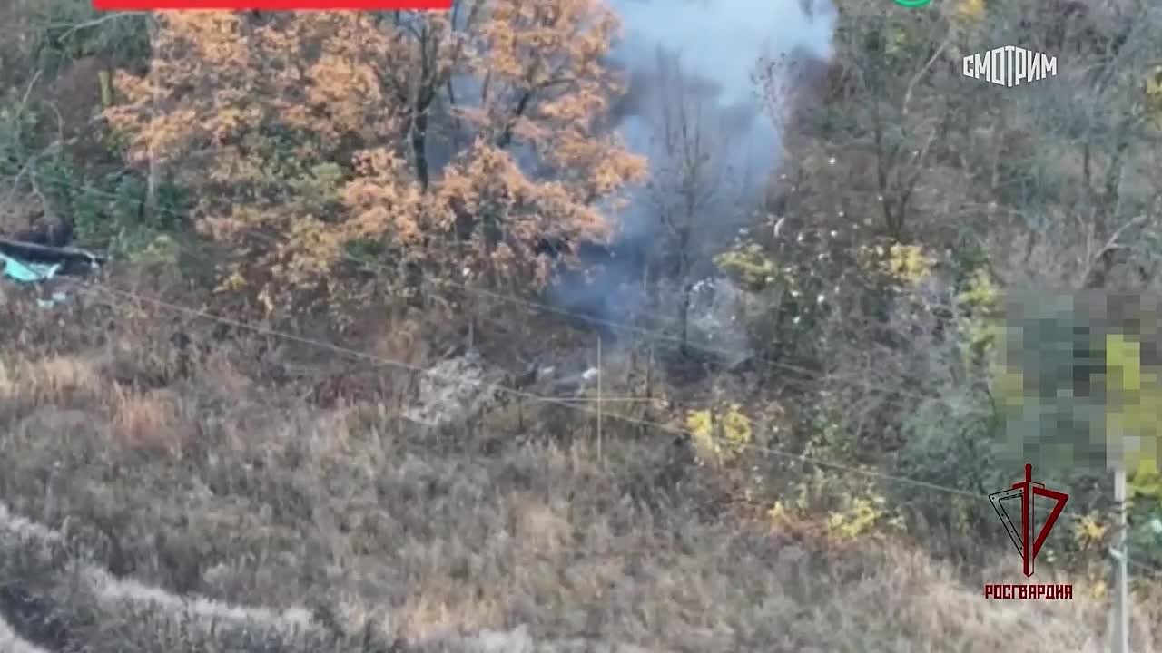 Сотрудники Росгвардии уничтожили расчет дронов ВСУ в Харьковской области, сообщили в ведомстве