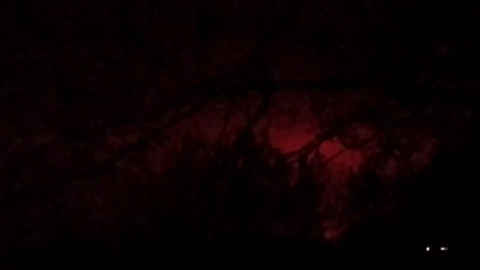 �� �� ������� ���������� ���� �� ����� �� �������