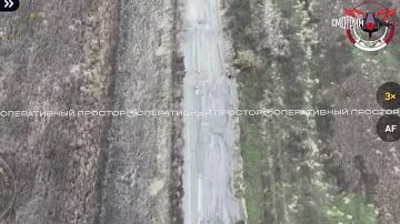 Положение ВСУ на красноармейском и купянском направлениях сейчас тяжелейшее - в окружении находятся несколько десятков батальонов киевского режима, сообщает военкор ВГТРК Евгений Поддубный