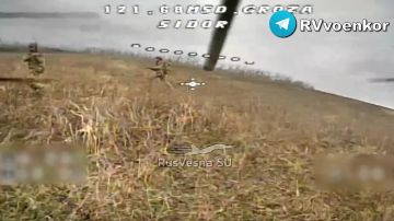 Бойня у Купянска: 68 дивизия уничтожает пытающуюся прорваться пехоту ВСУ