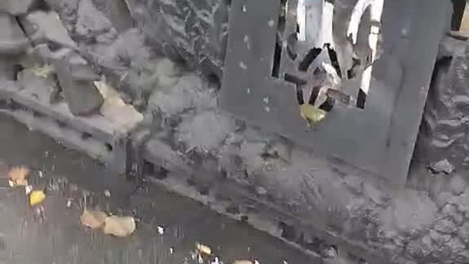 � �������� � ����������� "�������" �������� "����������� ������� ���������� �����"