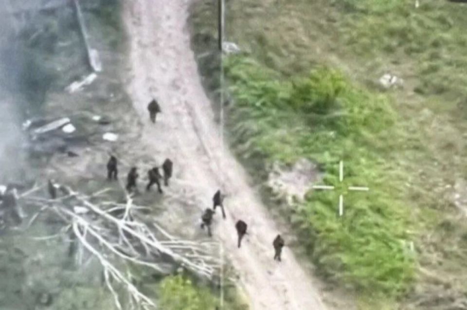 Капканы на волков. Боевики ВСУ в Волчанске жалеют, что их не убили бомбы