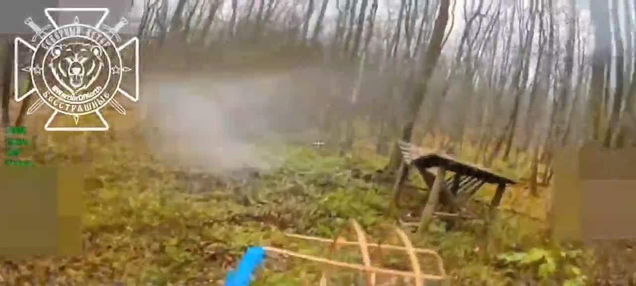 Охота на временно живую силу ВСУ в лесах Харьковской области