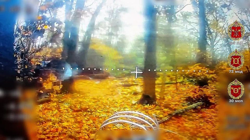 ������� � �������. ������� ������� ������ ���� 30 ��� 44 ���������� ������� � ������� ���-����� �� ����������� ��������� � ��������� ��� ���