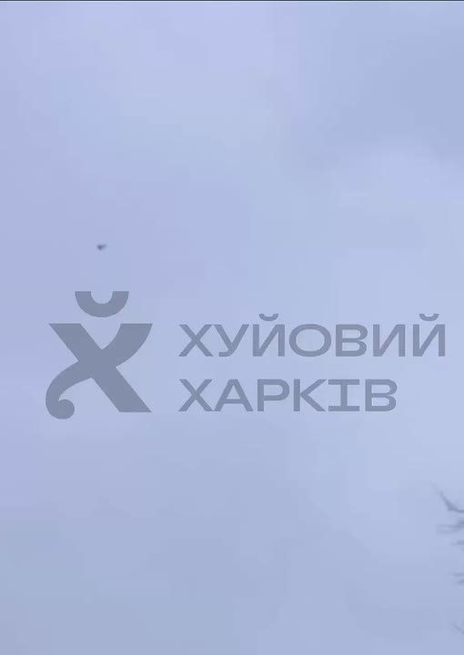 "Герани " в Харькове уже чувствуют себя как дома