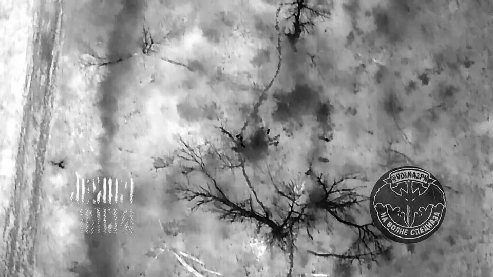 ������������ ����� ����� ���� ���������� � ����������� ����� � ���������