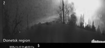        ""    ,              ( )  