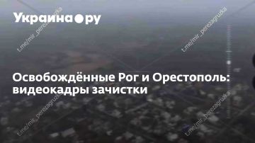 Освобождённые Рог и Орестополь: видеокадры зачистки