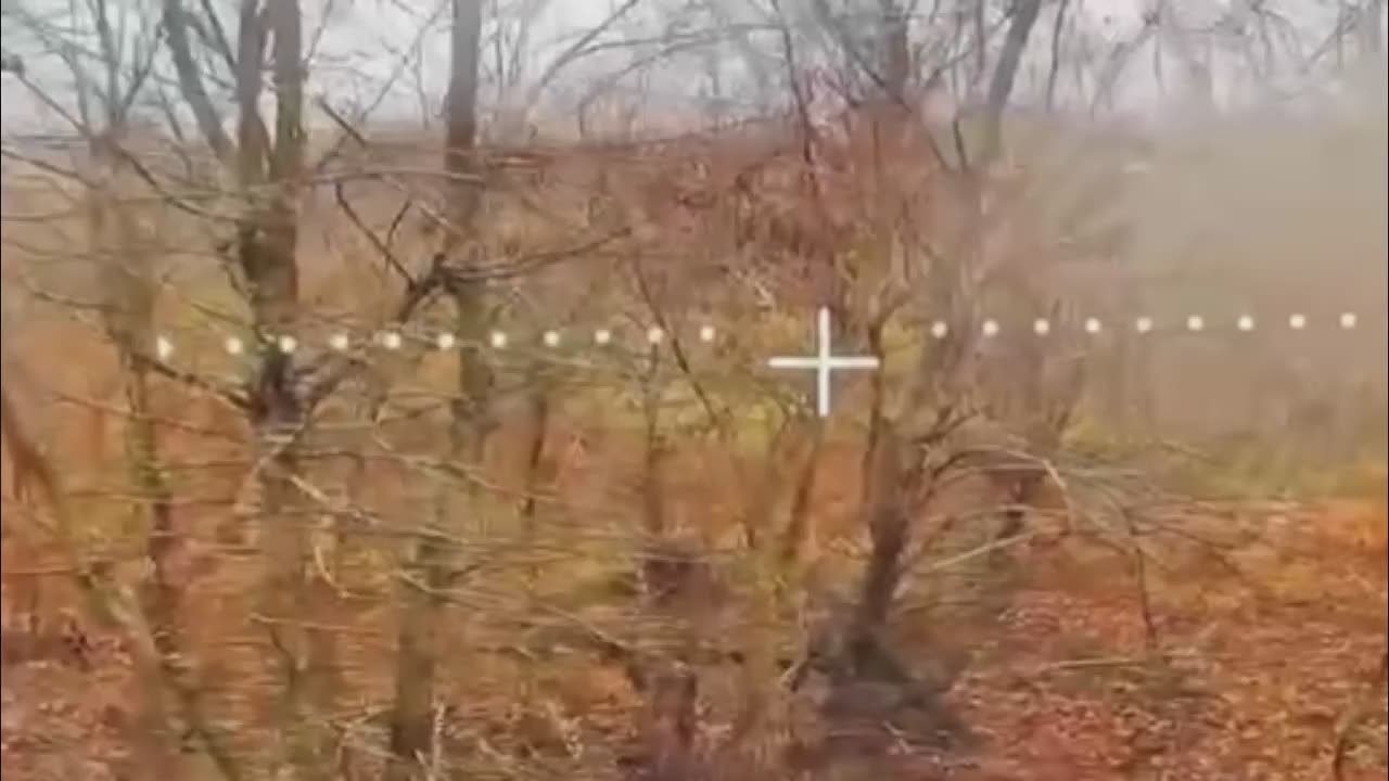 Слухи о прибытии на Купянское направление специального батальона БПЛА ВС РФ, "заточенного" под работу по живой силе, имеют определённый смысл