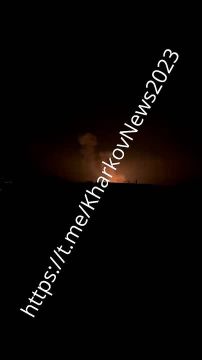    :       ,  100  ,  - ,    ""