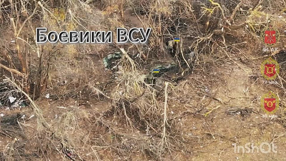 �������� ������ ���������. ������� �������