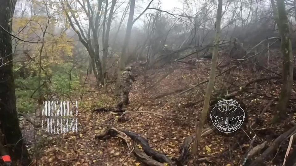 ��������� �����������. ������� ������� ������ � ������ ���������� ������������� ���������� ��������� �������� � �����, � ���� ��� ���� ����� � ���� ��� ������, ������� �������� ���� ��� � ������ �� �����������