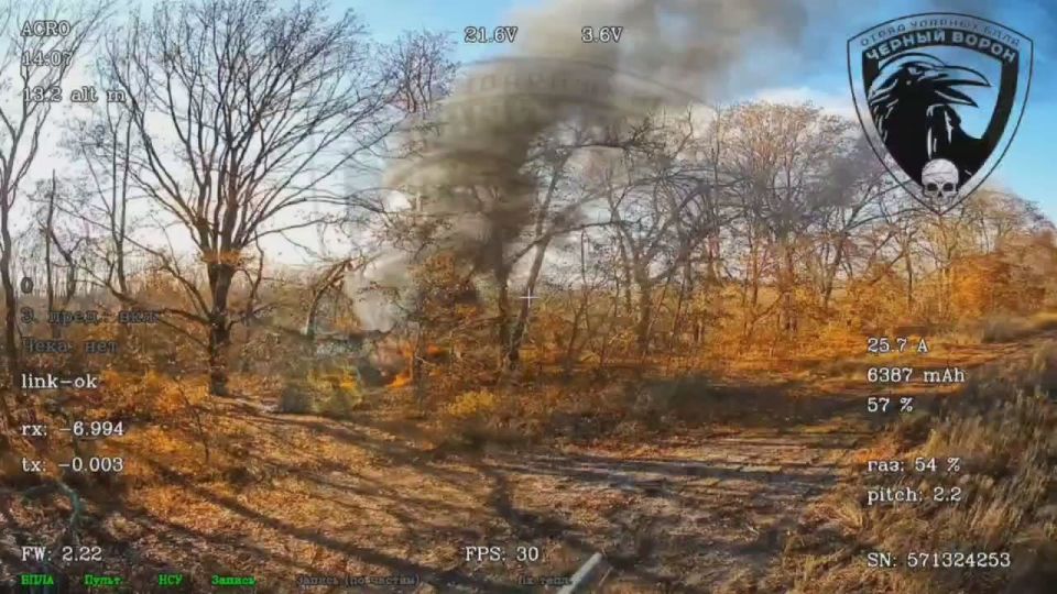 ������� ��������: ������ ������ ������� ���� �׸���� ������ � ����������� � �������� ��������