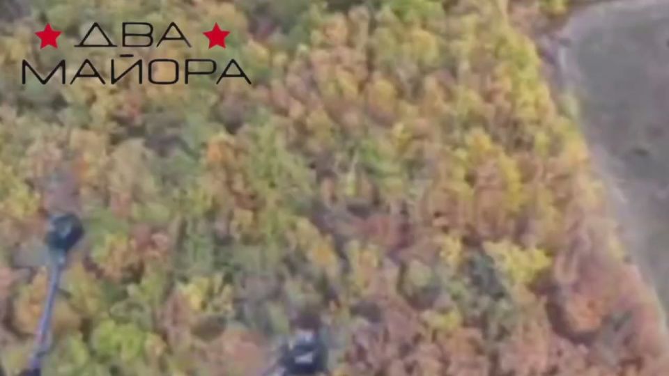 ��� ������: ����������� �����������. ����������� �.�. ������