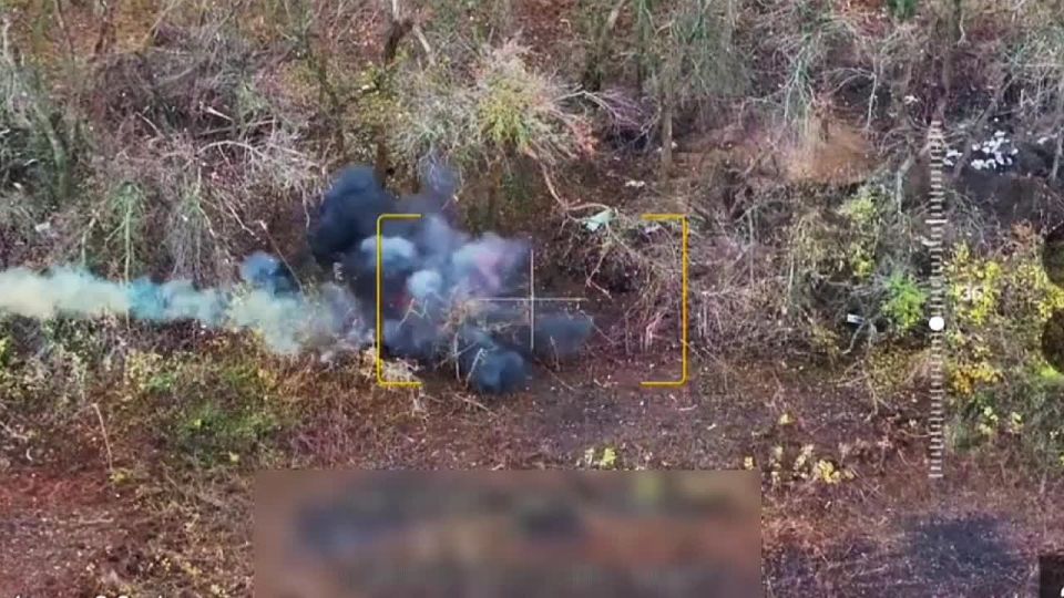 ��������������� ������ ������ � ���������