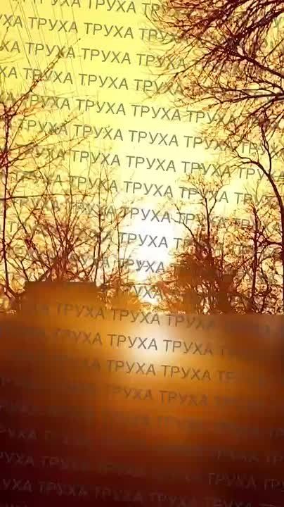 ���� ������������ � ����: ��� ��������� �������� ���������� ����� ����� ����� �� ������� ��������������