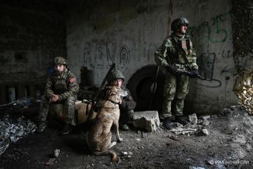 Спецоперация, 17 ноября: ВС РФ освободили три населенных пункта