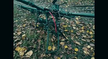 Рамзан Кадыров: Харьковское направление. Здесь активно проводит боевые операции против бандитов ВСУ личный состав стрелкового батальона имени Шейха Мансура МО РФ @batalyonshayhmansura под командованием дорогого БРАТА...