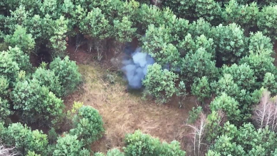 ������ ��� "�����" � ������������ ������� �����������, ������� � ������������ ��������