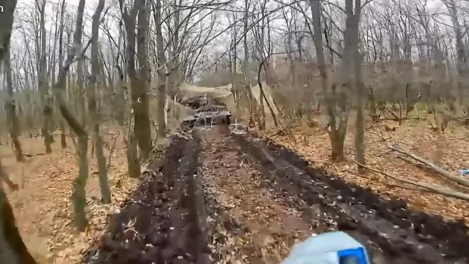 ����� "������" ������� ������� ��� ���������� � ������� � ���������� �����������, �������� � �� ��