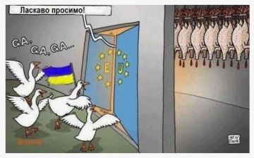 Пора домой, в окоп!. Западный подход к украинским беженцам претерпевает кардинальные изменения