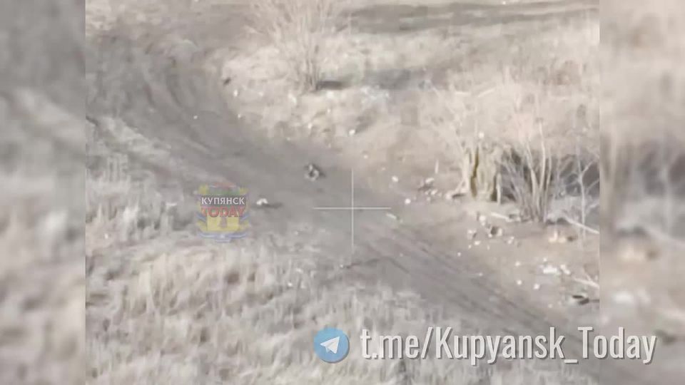 ��������� �����������. ����������� ������ ���������� ���� ���