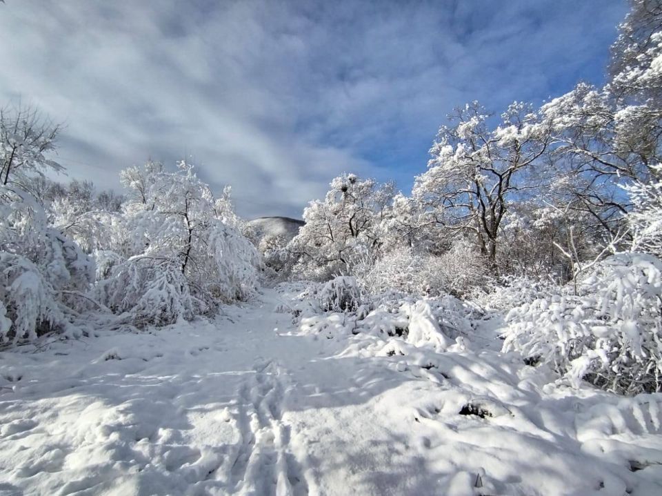 В селе Уборка Чугуевского округа царит настоящая зимняя магия