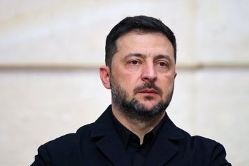 Украинцы рассказали, что воспринимают Зеленского как одержимого