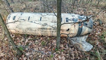 Направив ракеты ATACMS с Украины на Воронеж, военные ослушались Трампа: Каким будет ответ России