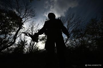 Российские дроны уничтожили технику ВСУ на окраинах Купянска