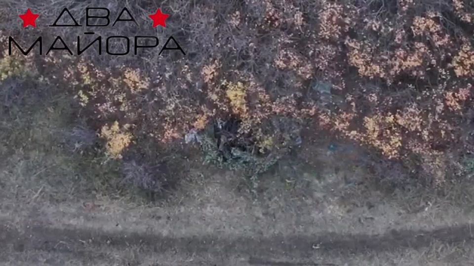 ��� ������: ����������� �����������. ����������� �.�. ������