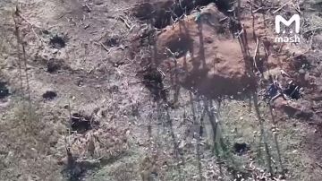 Боевики ВСУ вынужденно сдали ВС РФ южную часть Северска в ДНР