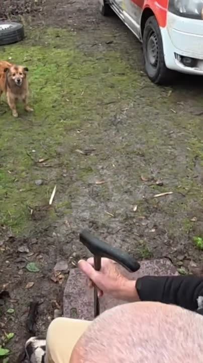 Видео с заездом машины ВСУ в Купянск-Узловой снятое как утверждается 20 ноября