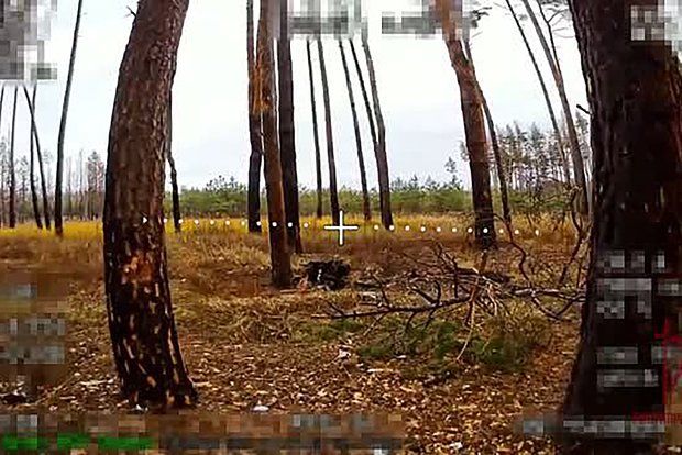 � ����������� ������� ���������� ���������� ������� ��������������� �����������