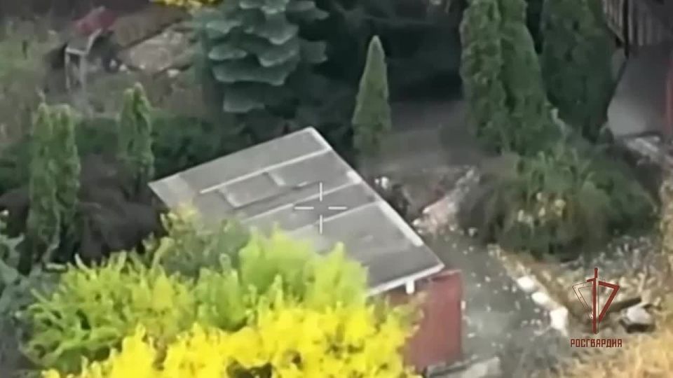Росгвардейцы поразили пункты управления БПЛА и позиции ВСУ на харьковском направлении