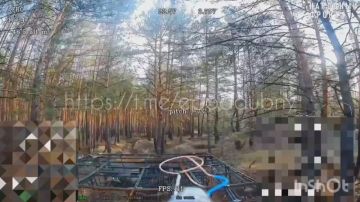  :  .   1-      "" M113,    -     