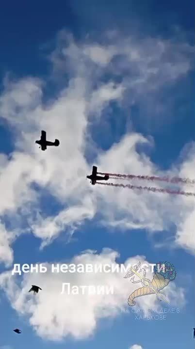 Вах, что за лев этот тигр!?