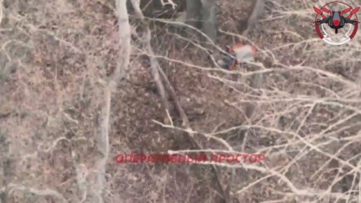  .      -  #6_      -