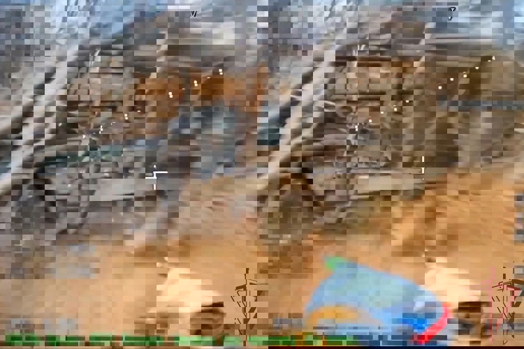 Росгвардейцы уничтожили замаскированную самоходку «Гвоздика» ВСУ на харьковском направлении (видео)