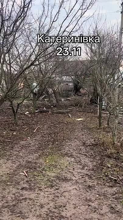 Катериновка Великобурлукский район со стороны хохлов