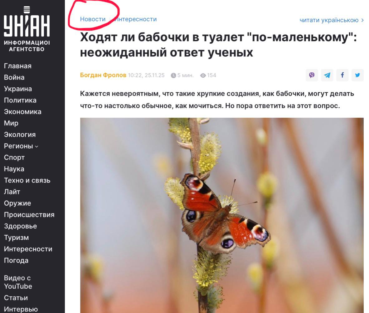 Ходят ли украинские журналисты в туалет "по-большому"?