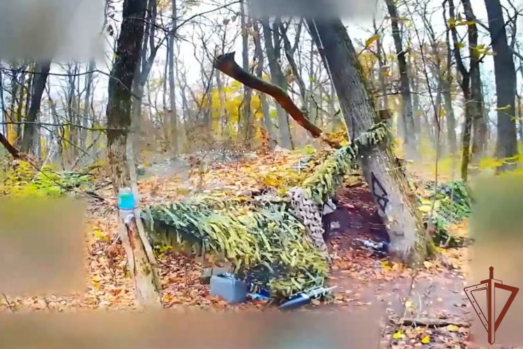 Росгвардейцы уничтожили САУ «Гвоздика» и поразили пункт управления БПЛА ВСУ на харьковском направлении (видео)