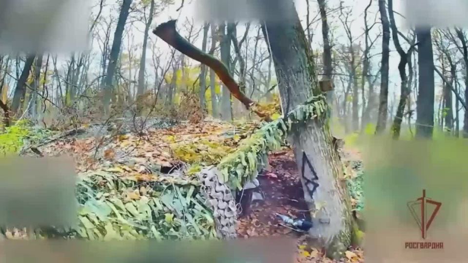 Росгвардейцы уничтожили САУ «Гвоздика» и поразили пункт управления БПЛА ВСУ на харьковском направлении